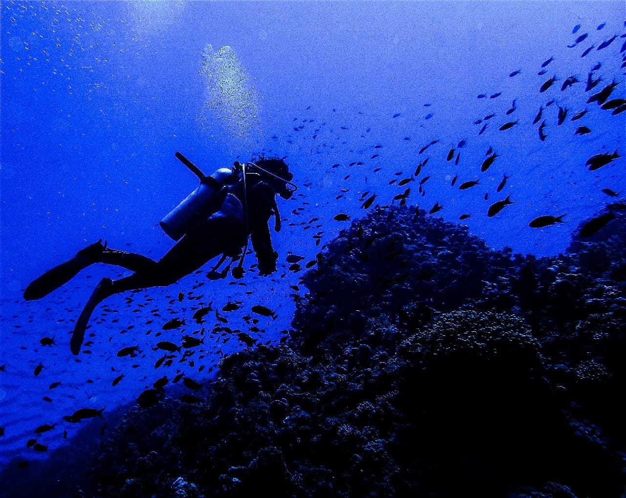 Sharm El Sheikh: 4 - Days Open Water Diving Course