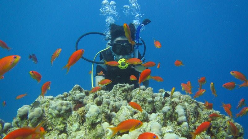 Sharm El Sheikh: 4 - Days Open Water Diving Course