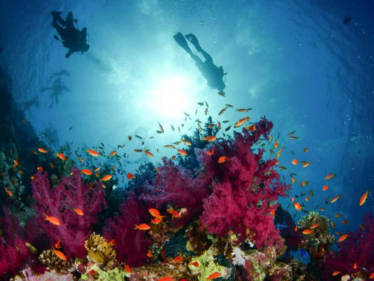 Sharm El Sheikh: 4 - Days Open Water Diving Course