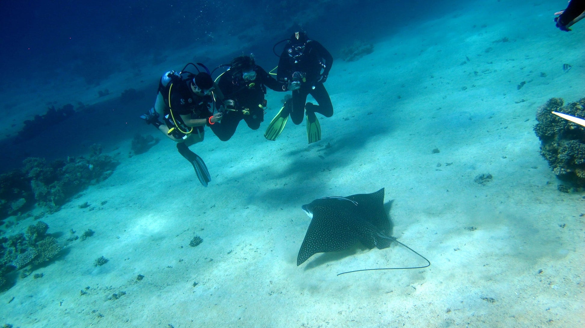 Sharm El Sheikh: Advanced Open Water Diver Course
