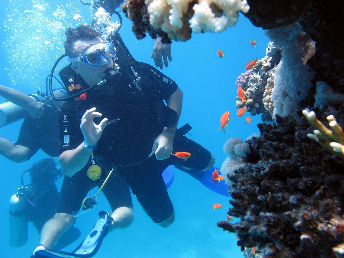 Sharm El Sheikh: Advanced Open Water Diver Course