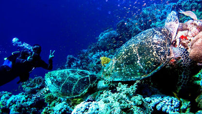 Sharm El Sheikh: Advanced Open Water Diver Course