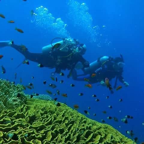 Sharm El Sheikh: Advanced Open Water Diver Course