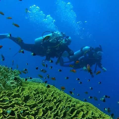 Sharm El Sheikh: Advanced Open Water Diver Course