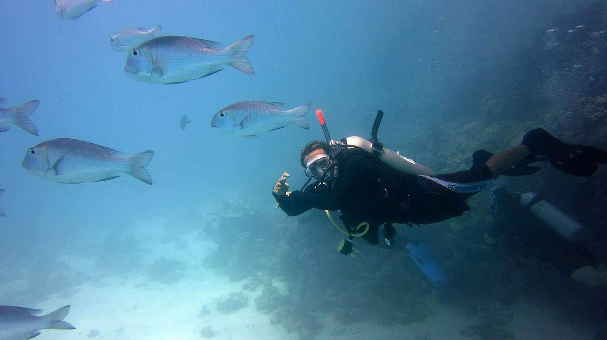 Sharm El Sheikh: Advanced Open Water Diver Course