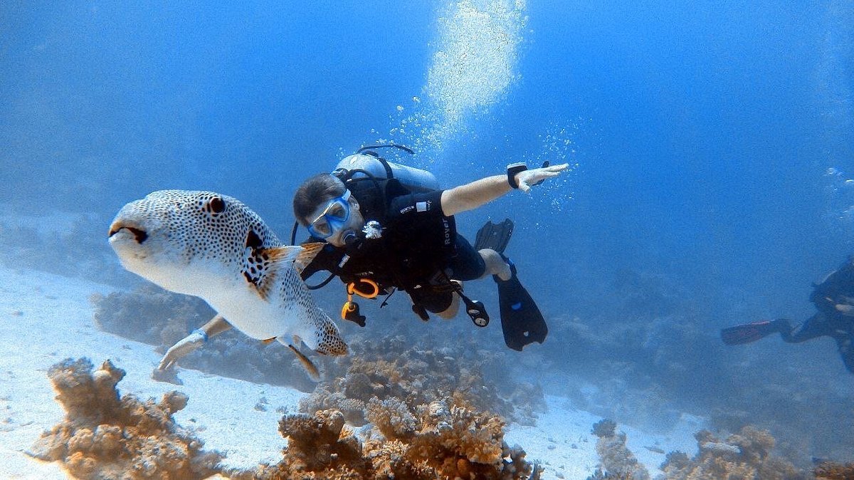 Sharm El Sheikh: Advanced Open Water Diver Course