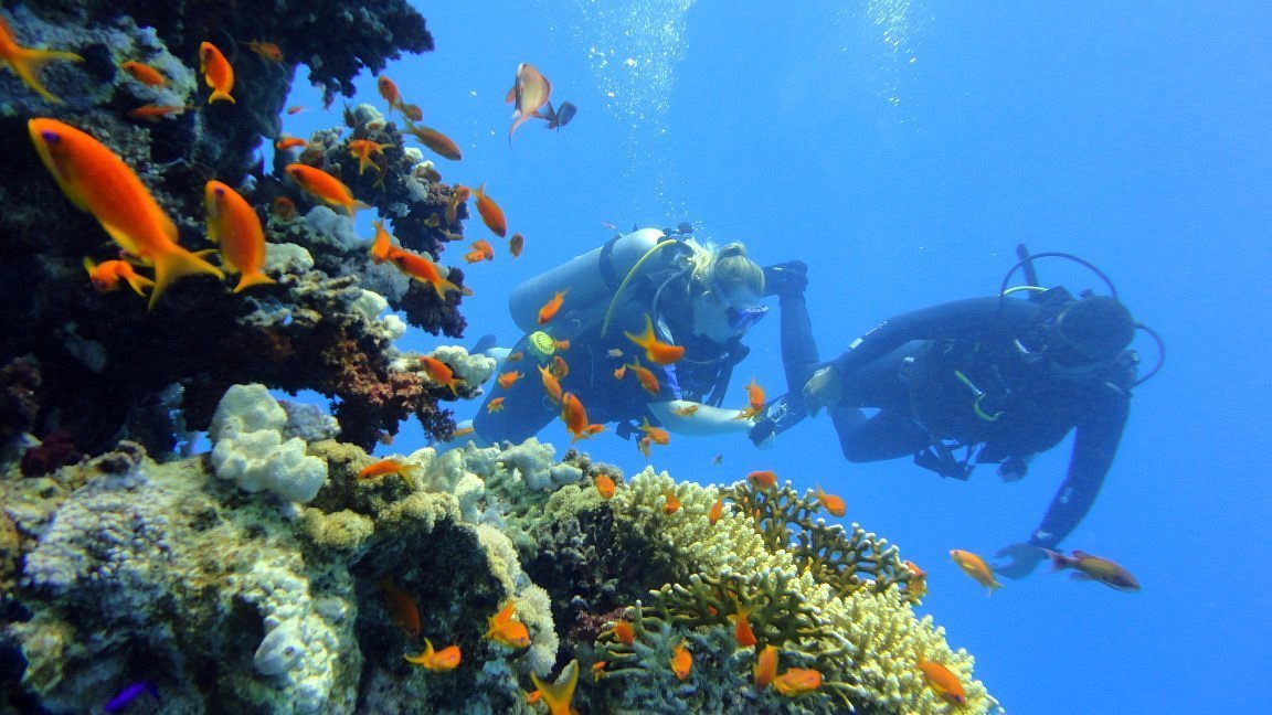 Sharm El Sheikh: Advanced Open Water Diver Course