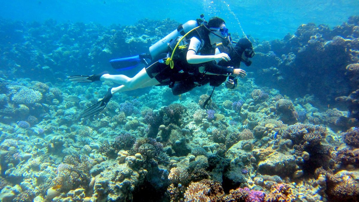 Sharm El Sheikh: Advanced Open Water Diver Course