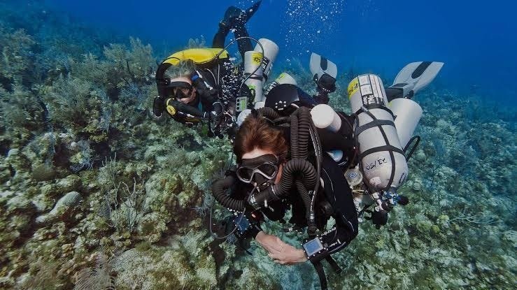 Sharm El Sheikh: Advanced Open Water Diver Course