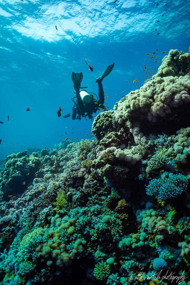 Sharm El Sheikh: Advanced Open Water Diver Course