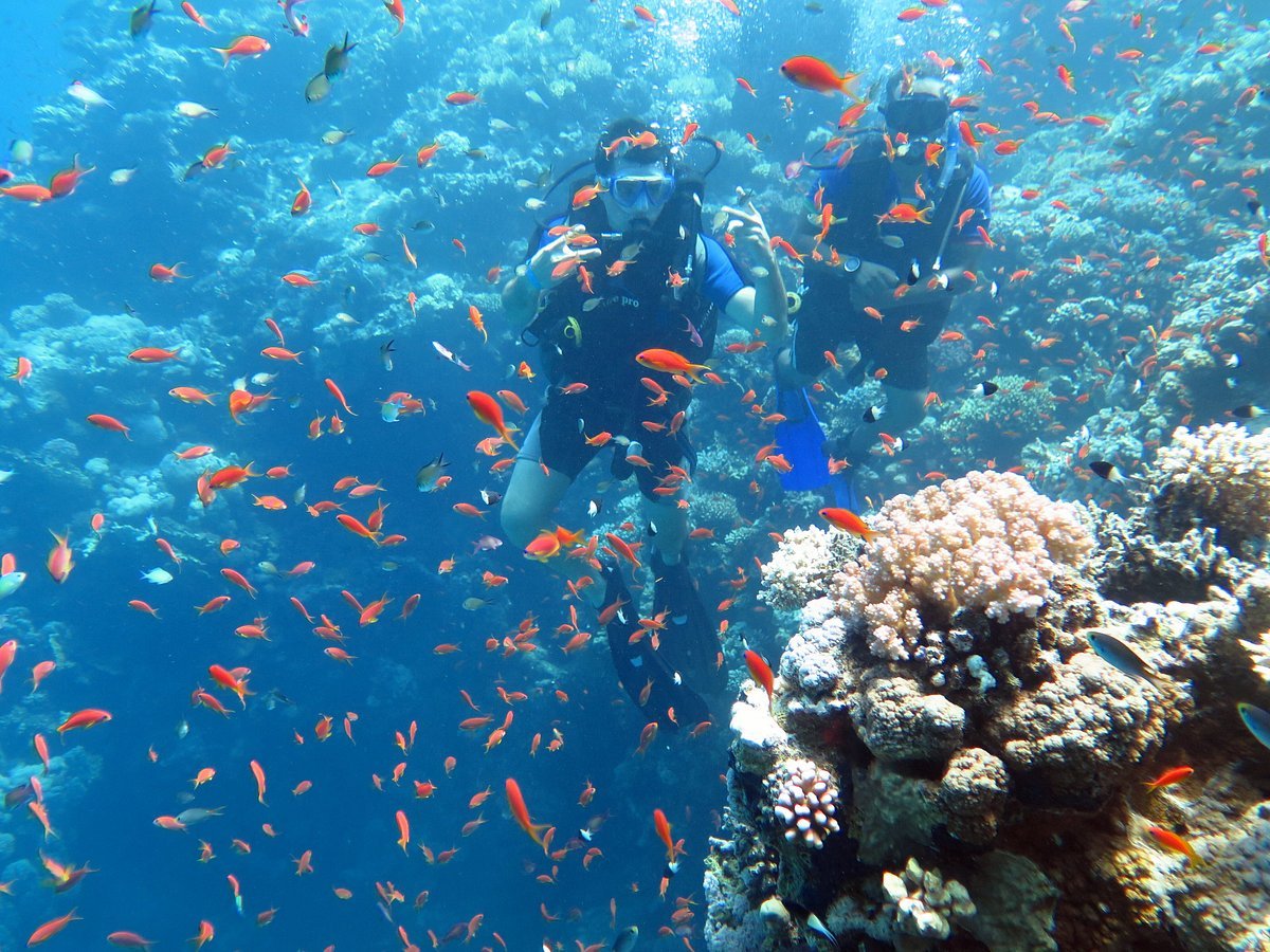 Sharm El Sheikh: Advanced Open Water Diver Course