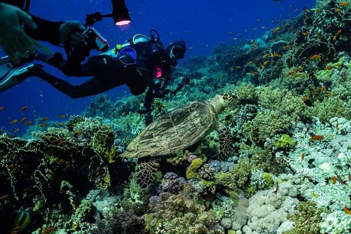 Sharm El Sheikh: Advanced Open Water Diver Course