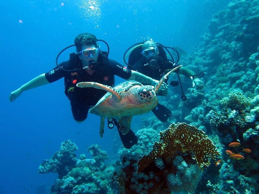 Sharm El Sheikh: Advanced Open Water Diver Course