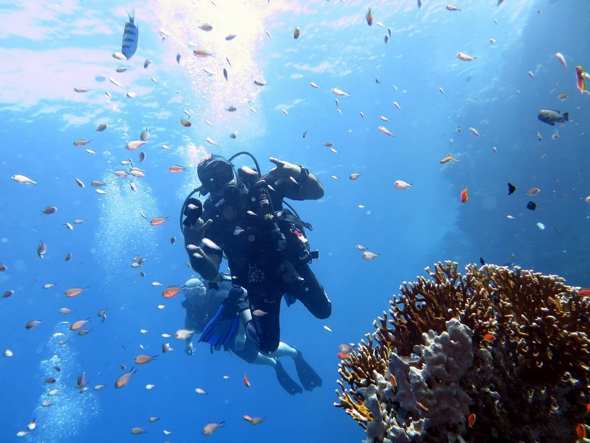 Sharm El Sheikh: Advanced Open Water Diver Course