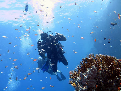 Sharm El Sheikh: Advanced Open Water Diver Course