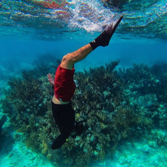 Sharm El Sheikh: Boat Snorkeling Trip
