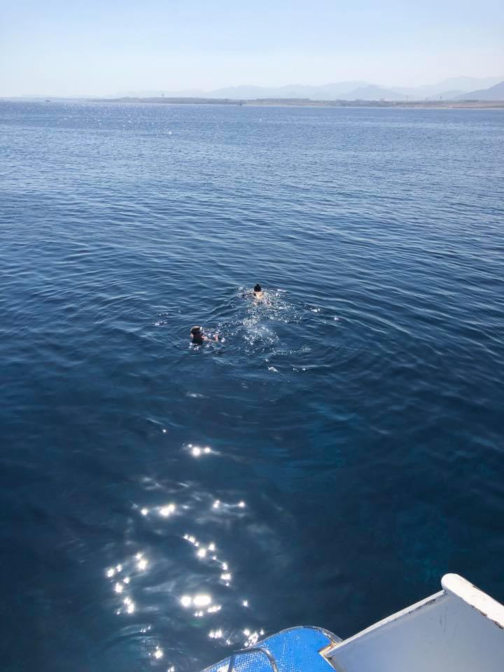 Sharm El Sheikh: Boat Snorkeling Trip