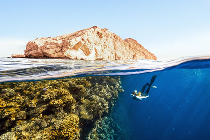 Sharm El Sheikh: Boat Snorkeling Trip