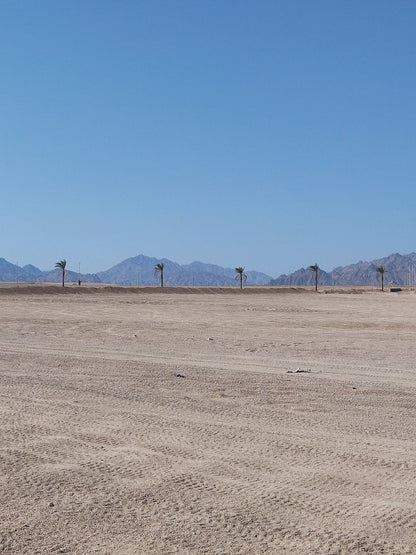 Sharm El Sheikh: Desert Quad Bike Ride