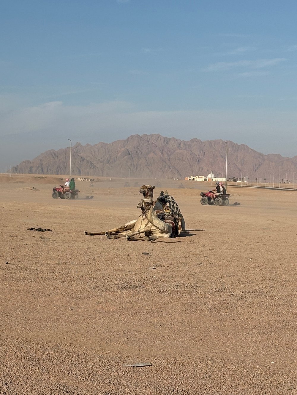 Sharm El Sheikh: Desert Quad Bike Ride