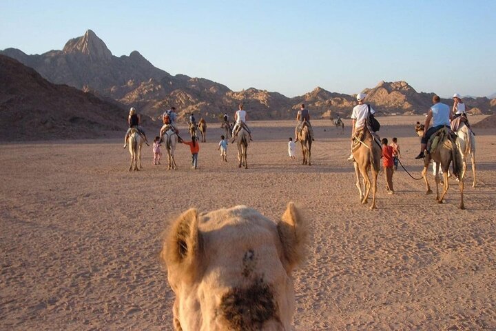 Sharm El Sheikh: Desert Safari with Quad Bike and Water Sports Adventure