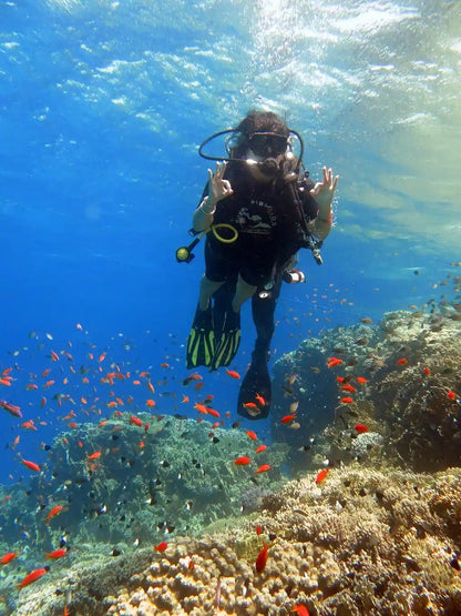 沙姆沙伊赫：PADI 体验水肺潜水（海滩潜水）