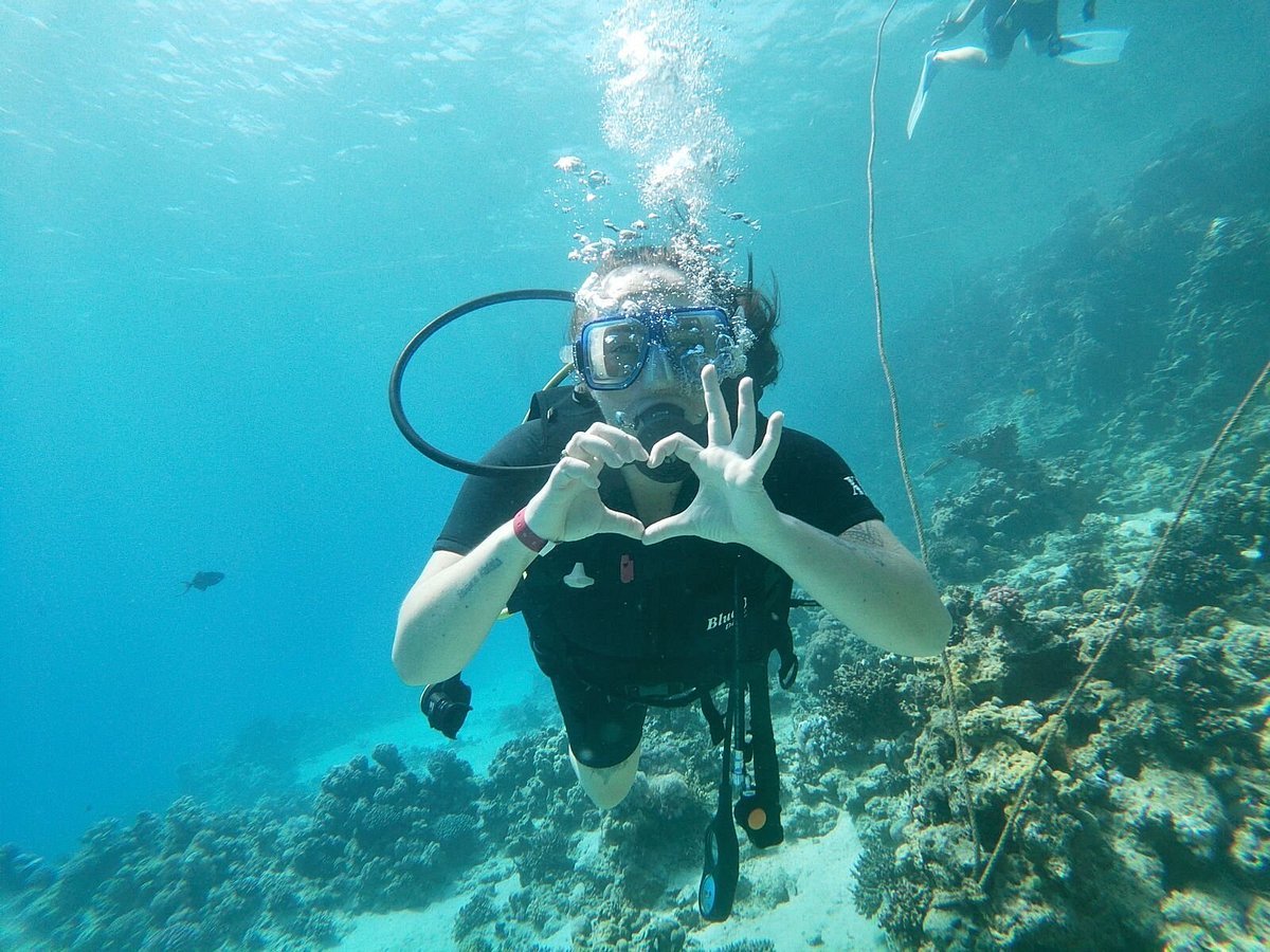Sharm El Sheikh: Discover Scuba Diving Pool and Open Water Dive