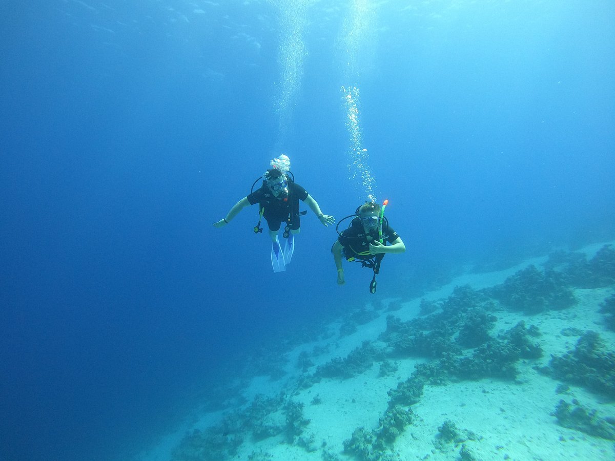 Sharm El Sheikh: Discover Scuba Diving Pool and Open Water Dive