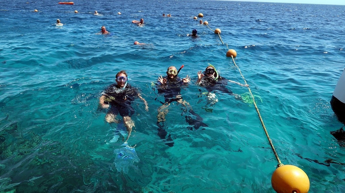 Sharm El Sheikh: Discover Scuba Diving Pool and Open Water Dive