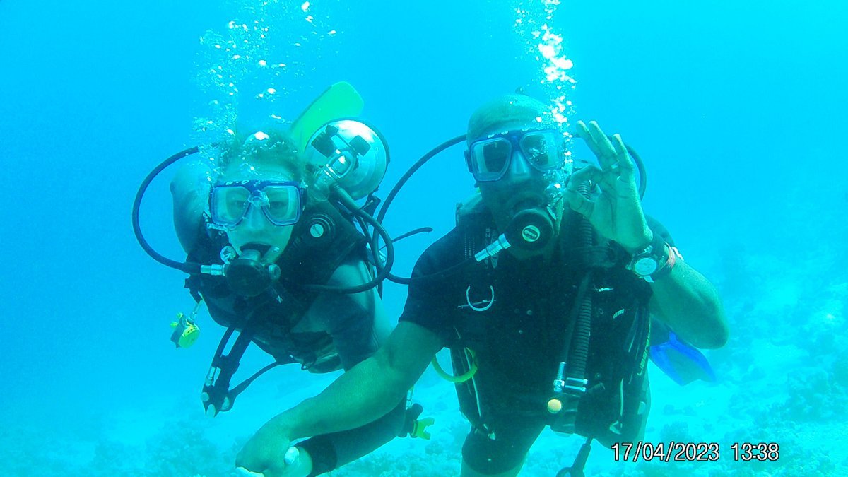 Sharm El Sheikh: Discover Scuba Diving Pool and Open Water Dive
