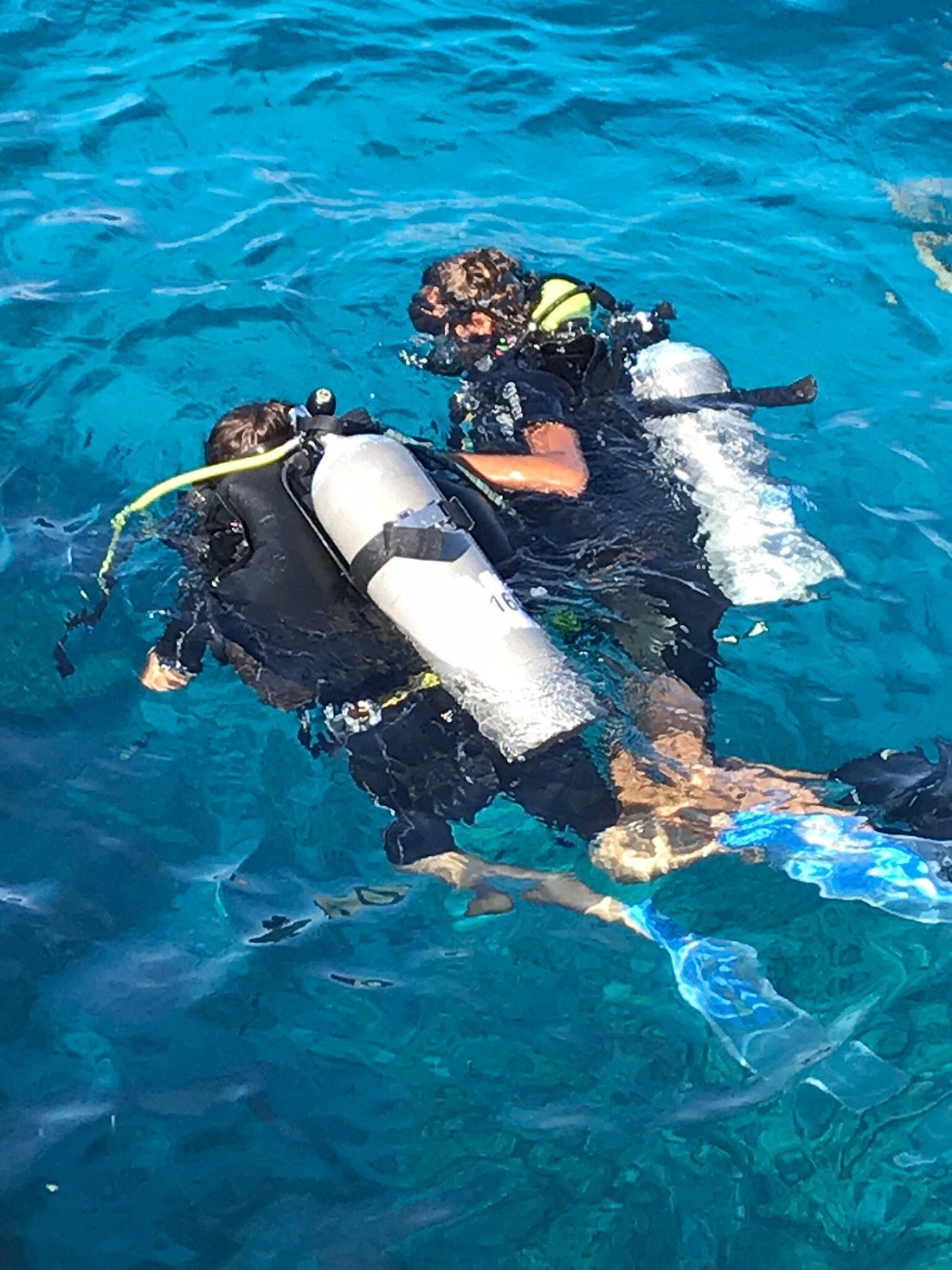 Sharm El Sheikh: Discover Scuba Diving Pool and Open Water Dive