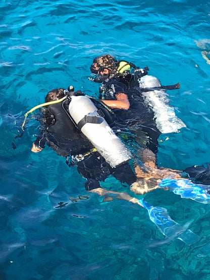 Sharm El Sheikh: Discover Scuba Diving Pool and Open Water Dive