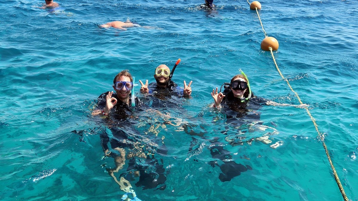 Sharm El Sheikh: Discover Scuba Diving Pool and Open Water Dive