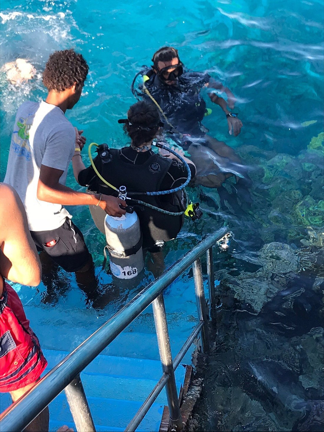 Sharm El Sheikh: Discover Scuba Diving Pool and Open Water Dive