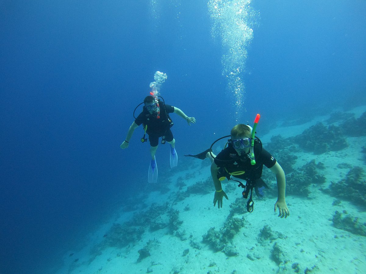 Sharm El Sheikh: Discover Scuba Diving Pool and Open Water Dive