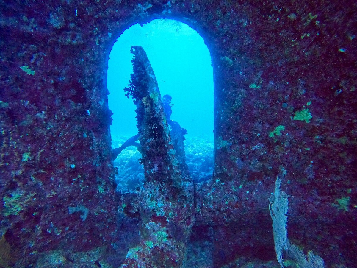 Sharm El Sheikh: Diving Trip at the SS Thistlegorm WWII Shipwreck