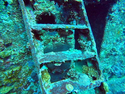 Sharm El Sheikh: Diving Trip at the SS Thistlegorm WWII Shipwreck