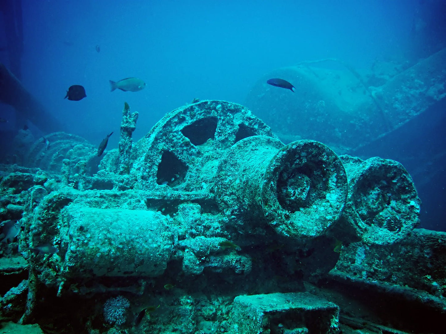 Sharm El Sheikh: Diving Trip at the SS Thistlegorm WWII Shipwreck