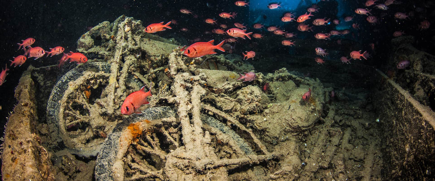 Sharm El Sheikh: Diving Trip at the SS Thistlegorm WWII Shipwreck