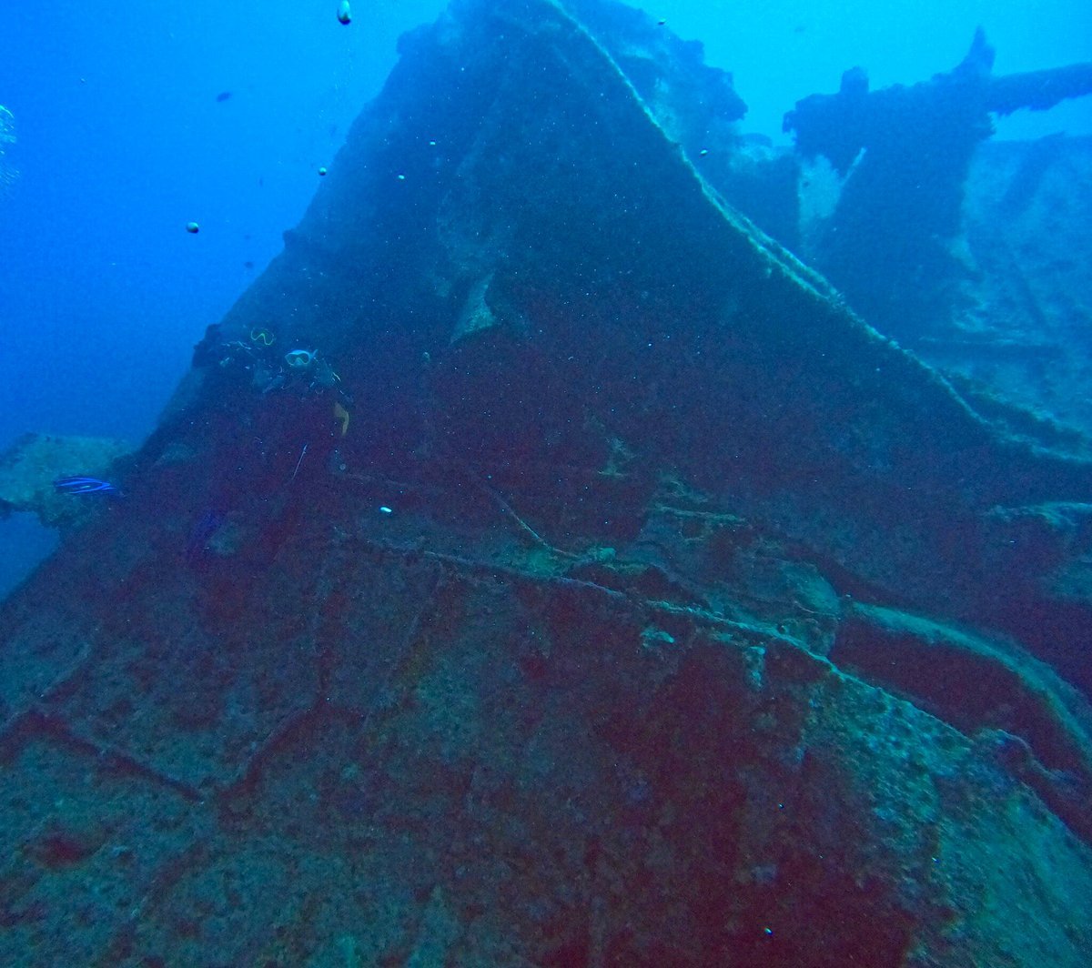 Sharm El Sheikh: Diving Trip at the SS Thistlegorm WWII Shipwreck