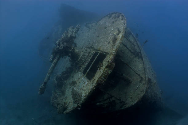 Sharm El Sheikh: Diving Trip at the SS Thistlegorm WWII Shipwreck