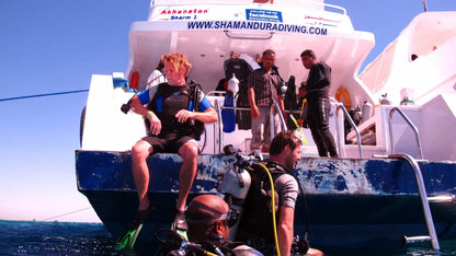 Sharm El Sheikh: Heldagsutflykt med snorkling vid Ras Mohammed