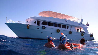 Sharm El Sheikh: Heldagsutflykt med snorkling vid Ras Mohammed