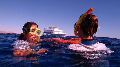 Sharm El Sheikh: Heldagsutflykt med snorkling vid Ras Mohammed