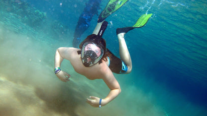 Sharm El Sheikh: Full - Day Ras Mohammed Snorkeling Boat Trip