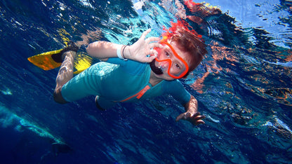 Sharm El Sheikh: Full - Day Ras Mohammed Snorkeling Boat Trip