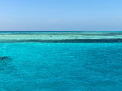 Sharm El Sheikh: Heldagsutflykt med snorkling vid Ras Mohammed