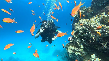 Sharm El Sheikh: Introduction to Scuba Diving