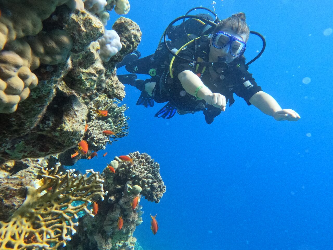 Sharm El Sheikh: Introduction to Scuba Diving