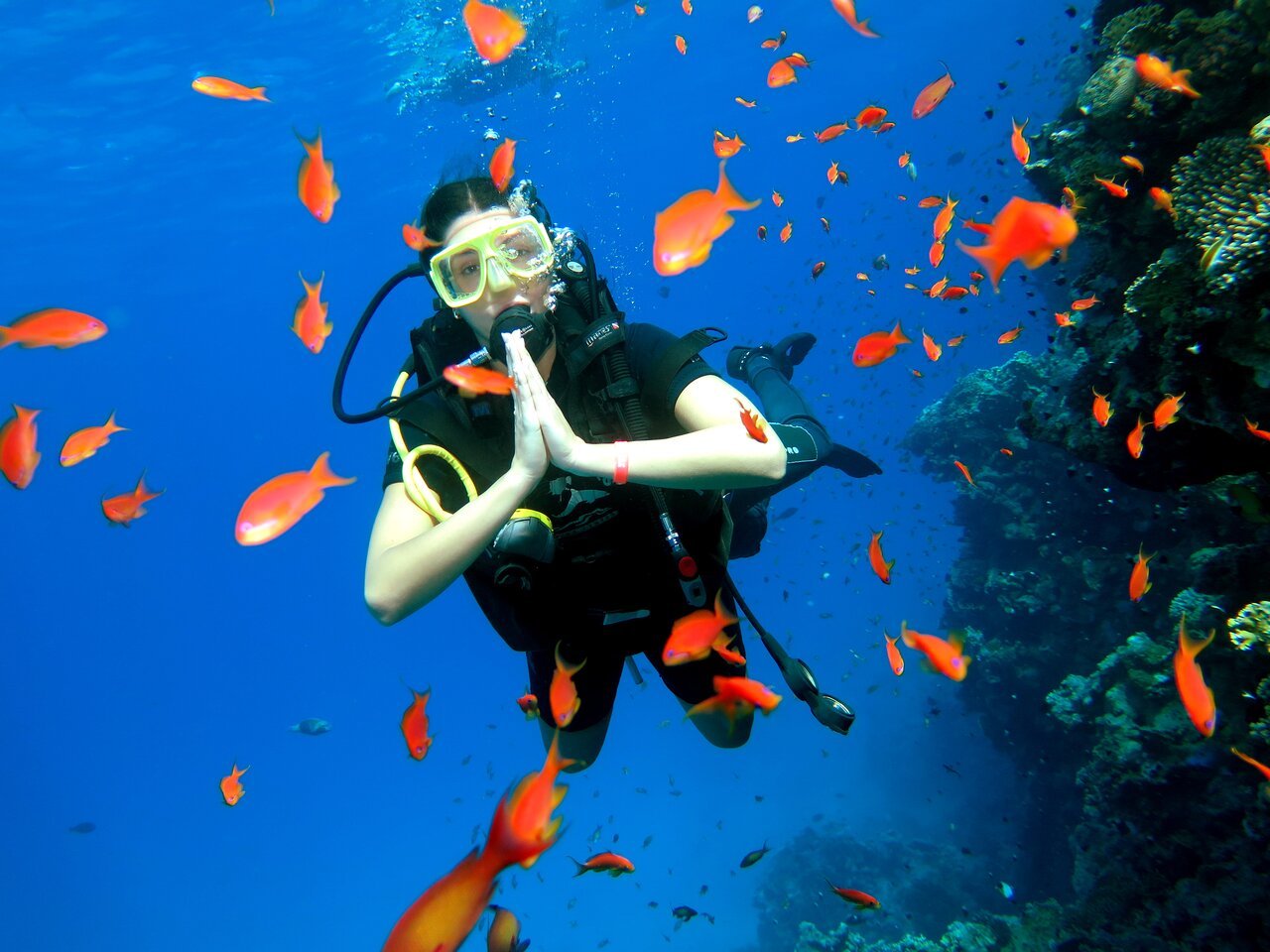 Sharm El Sheikh: Introduction to Scuba Diving